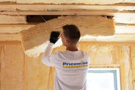 Best Eco-Friendly or Green Insulation Solutions  in Oak Harbor, OH